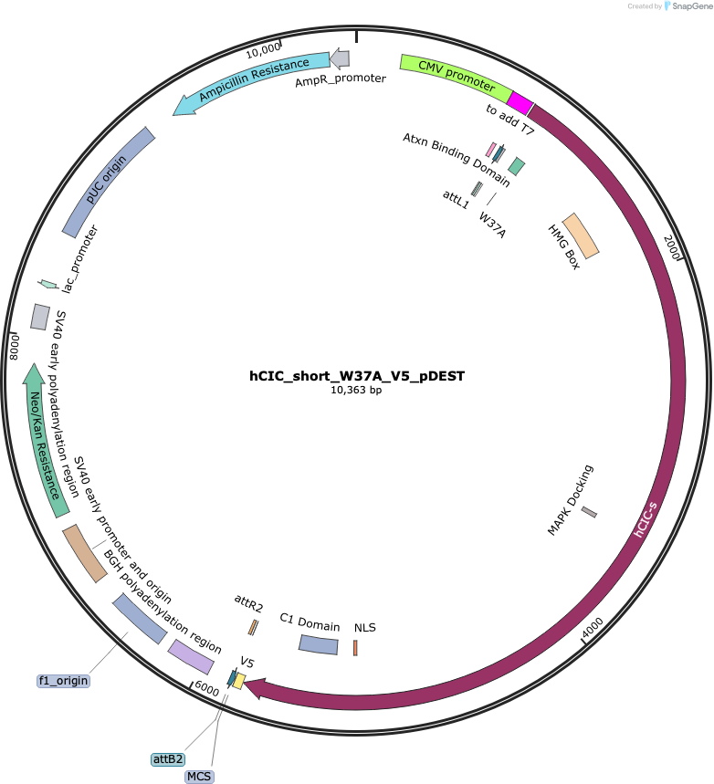 Author Map