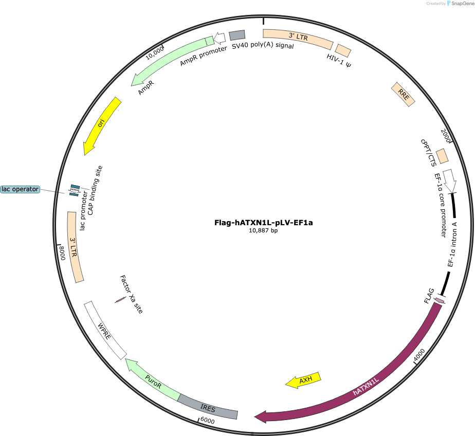 Author Map