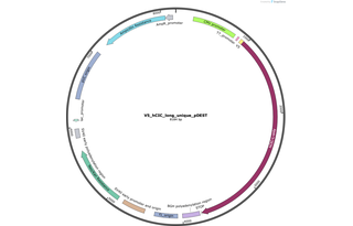 Author Map