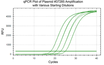 qPCR of AAV Vector