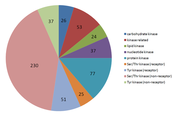 human-kinase-pie.jpg