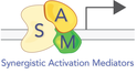 Zhang lab SAM library logo