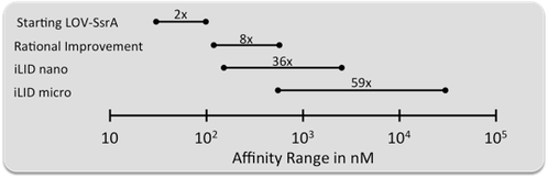 Graph comparison of affinities of photoswitchable dimers