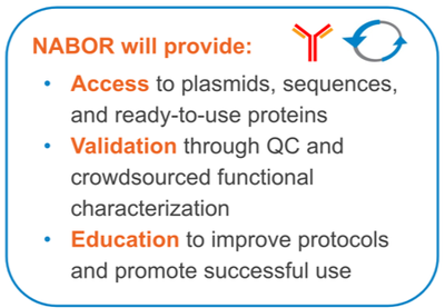 The Neuroscience AntiBody Open Resource (NABOR) will provide access to, validation of, and educational resources for recombinant antibody tools.