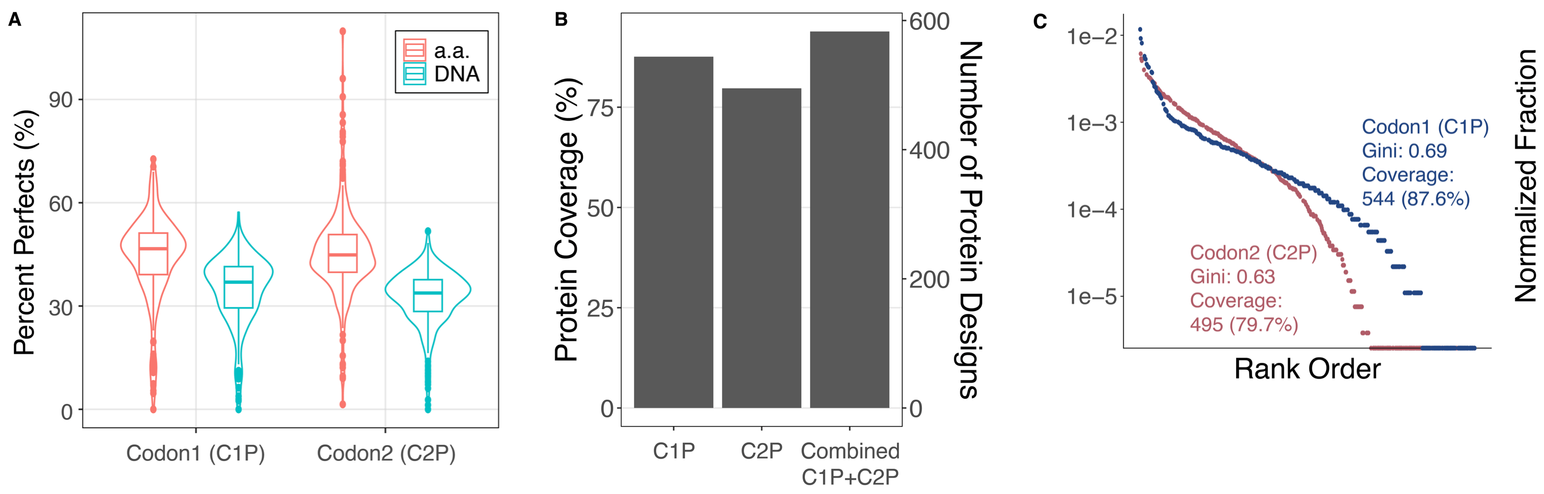 The first of three panels shows C1P has approximately 50 and 40 percent perfects for amino acids and DNA respectively, while C2P has approximately 45 and 35 percent perfects. The bar graph in Panel B is described in the figure caption. Panel C is a Rank Order versus Normalized Fraction plot with both C1P and C2P starting high in the upper left (1e-2) and decreasing towards the bottom right past 1e-5 Normalized Fraction. C1P has a GINI Coefficient of 0.69 and Coverage of 544 (87.6%) while C2P has a GINI Coefficient of 0.63 and Coverage of 495 (79.7%).