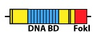 DNA-BD-Fok1.jpg