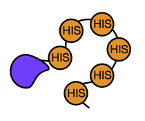 Wordless Purification 3.jpg