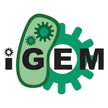 igem.png