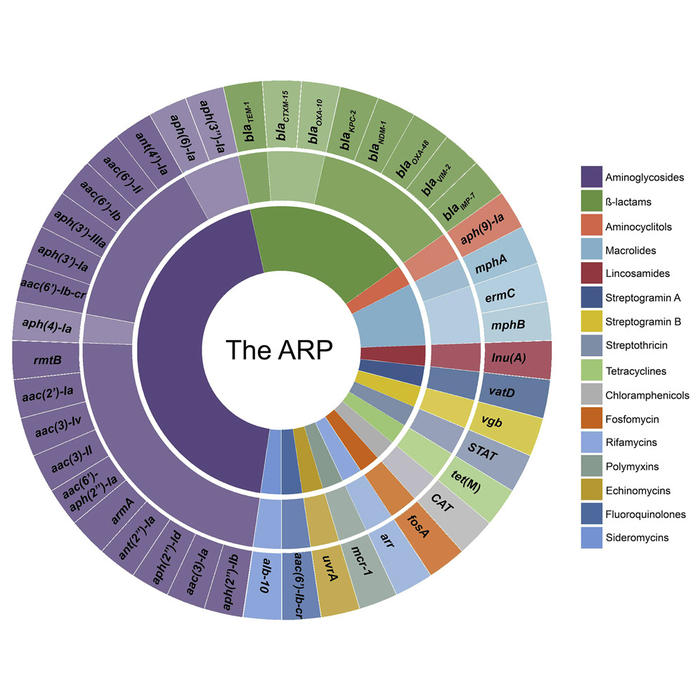 The ARP Figure- HighResJournal.jpg