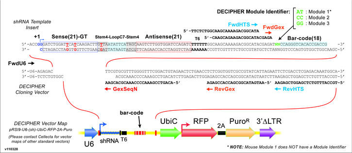 decipher-library-diagram.jpeg