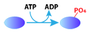 human-kinase-icon.jpg
