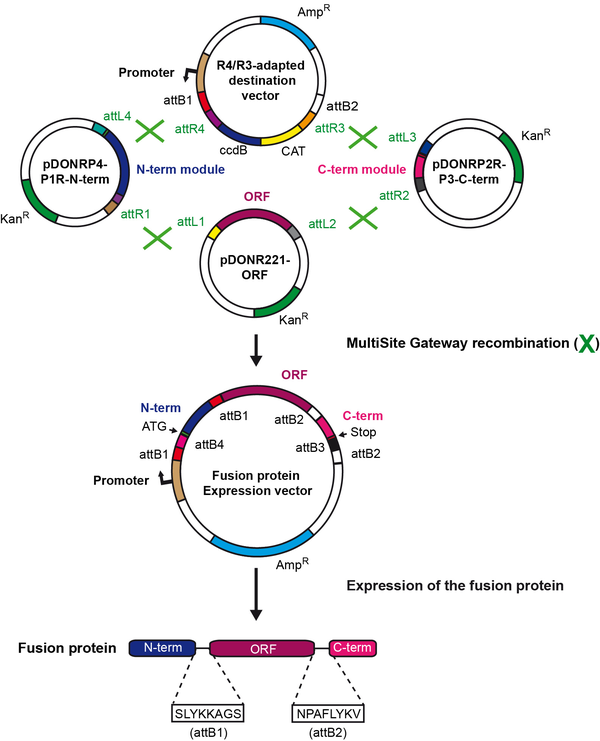 multisite_gateway_kit_Figure.png