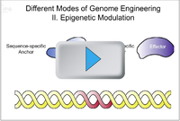 Genome Engineering - Basic Principles video
