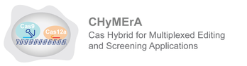 CHyMErA-Logo.jpg