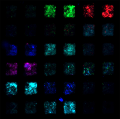 MOSAIC array.png