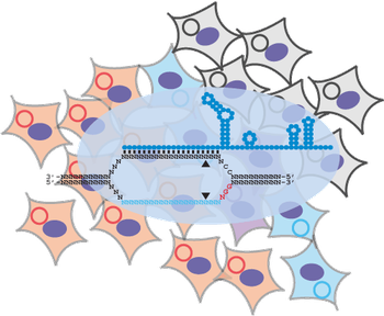 S2 fly cells library cartoon