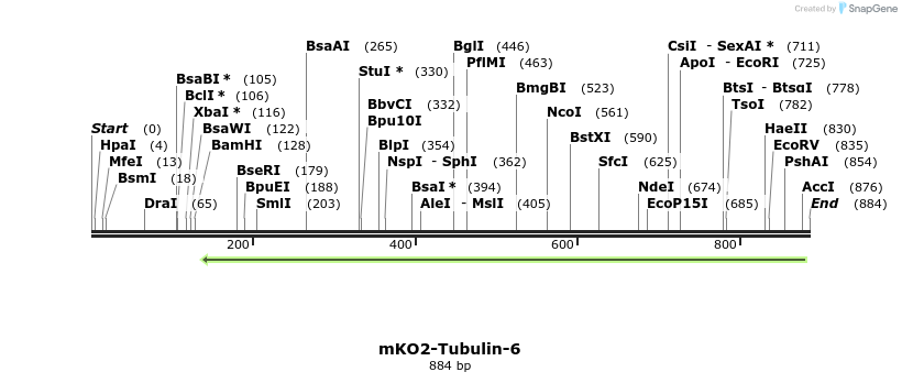 101906_map
