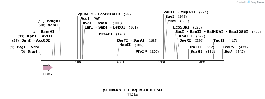105699_map