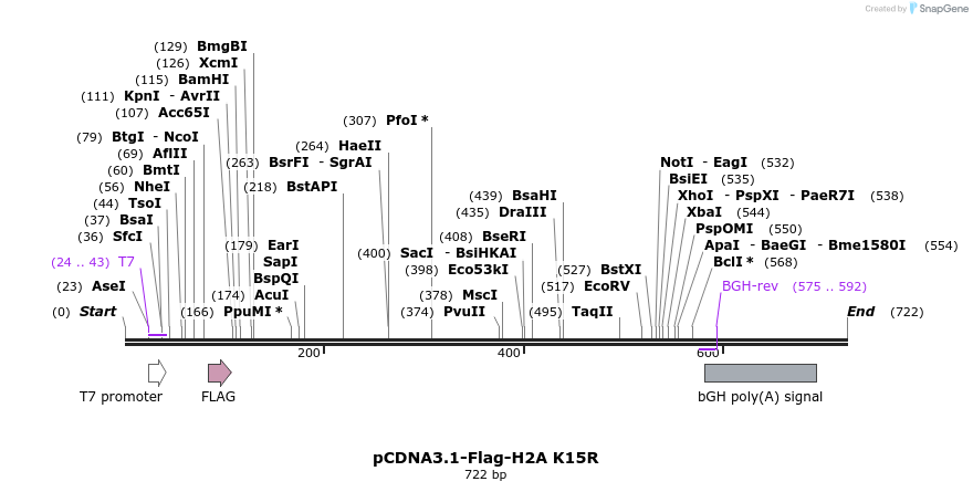 107037_map