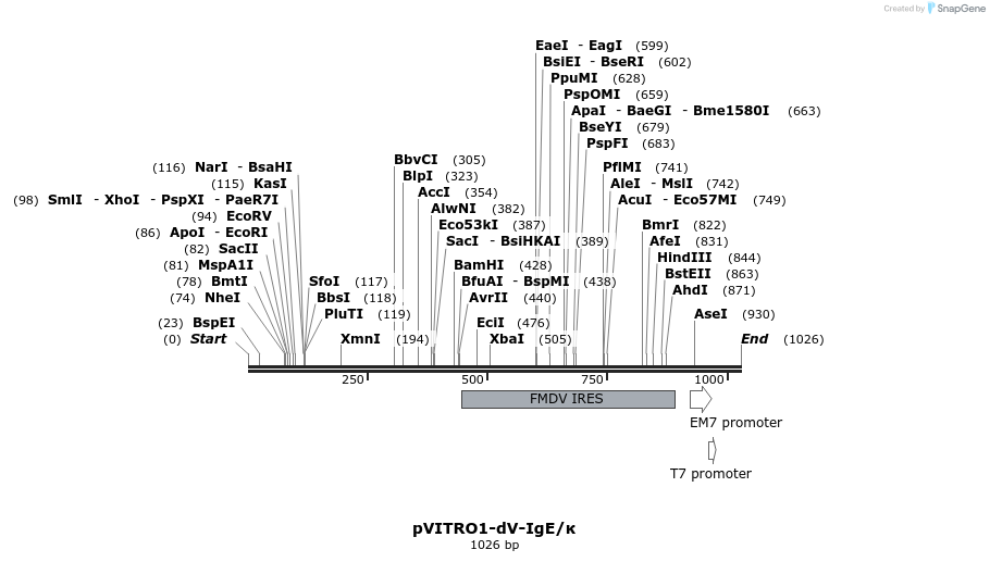107276_map