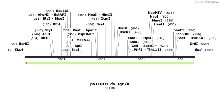 107281_map