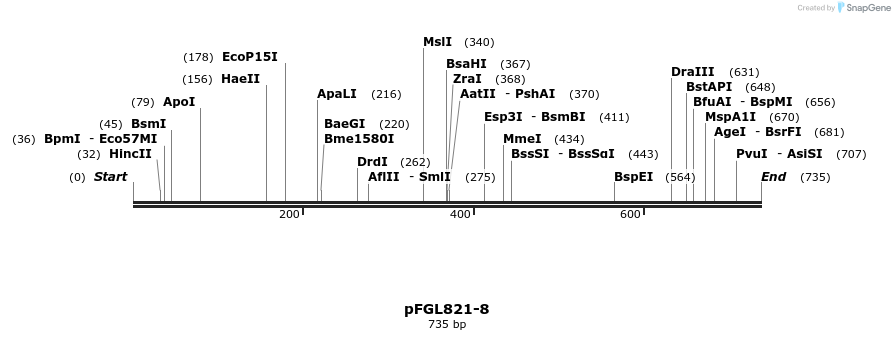 113935_map