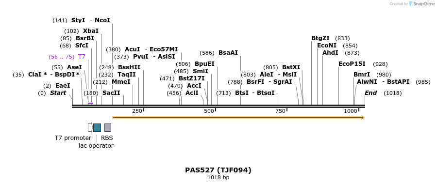 114881_map