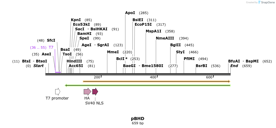 115716_map