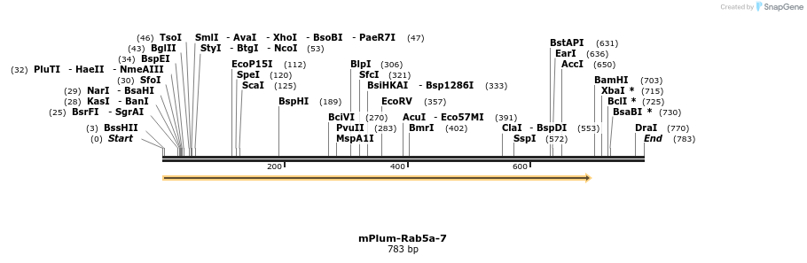 117600_map