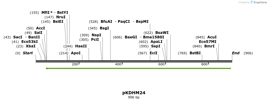121459_map