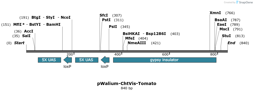 123257_map