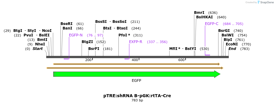123343_map