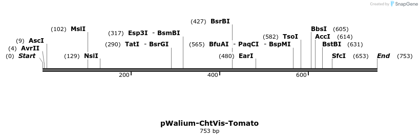 123849_map