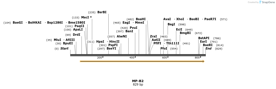 124537_map