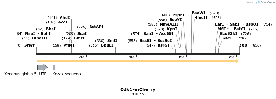 128322_map