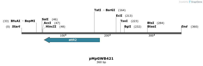 128960_map