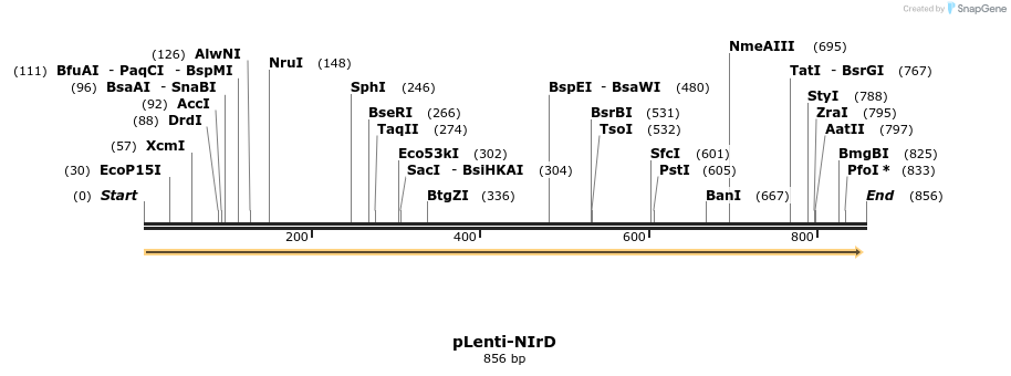 131406_map