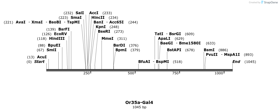 132353_map