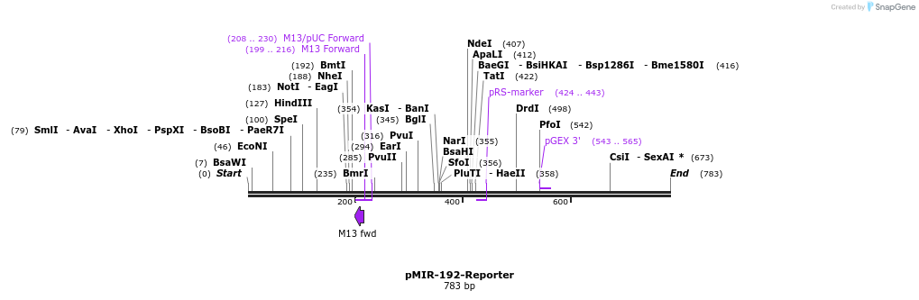 133339_map