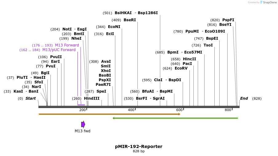 133342_map