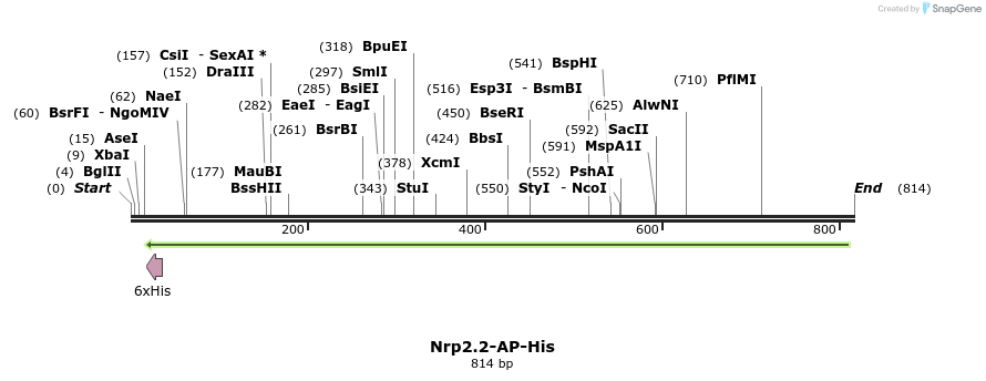 136225_map