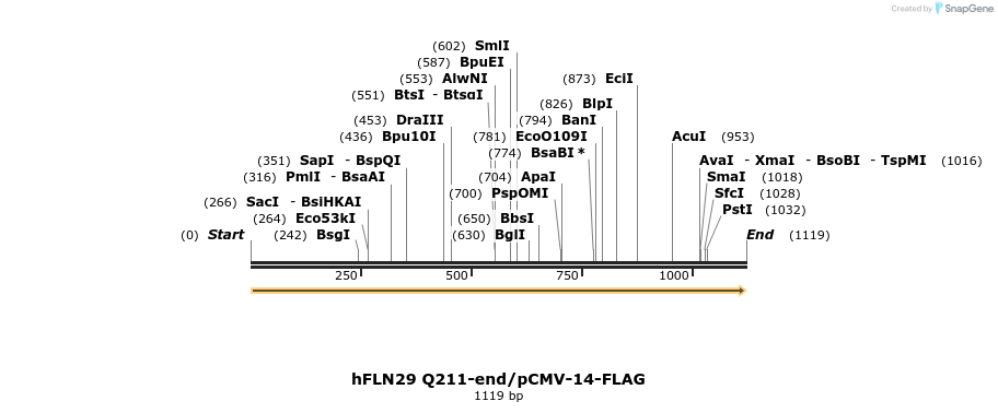 136921_map