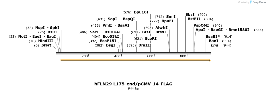 140143_map