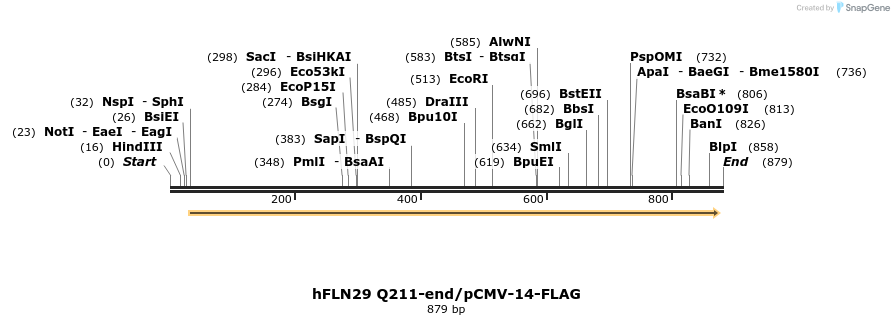 140147_map