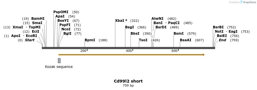 140465_map