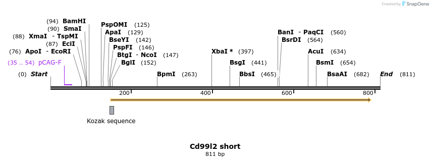 142204_map
