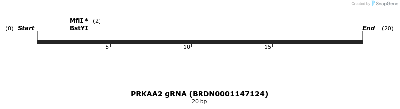 144097_map