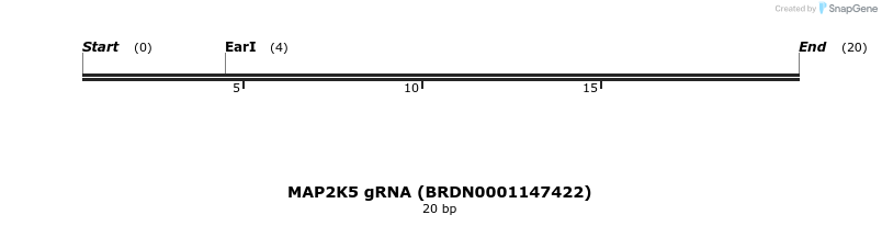 144725_map