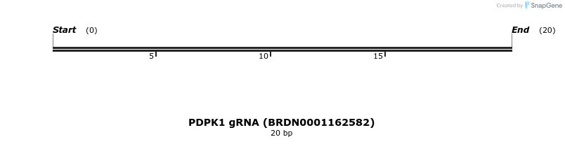 144910_map