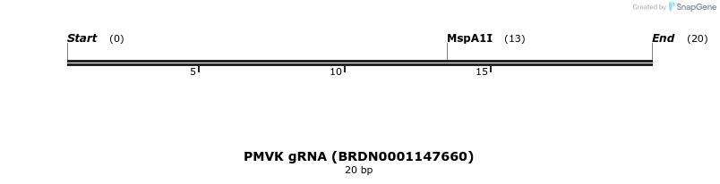145294_map